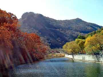 韩国客机遭鸟撞击事件曝光，航空安全引发关注热议