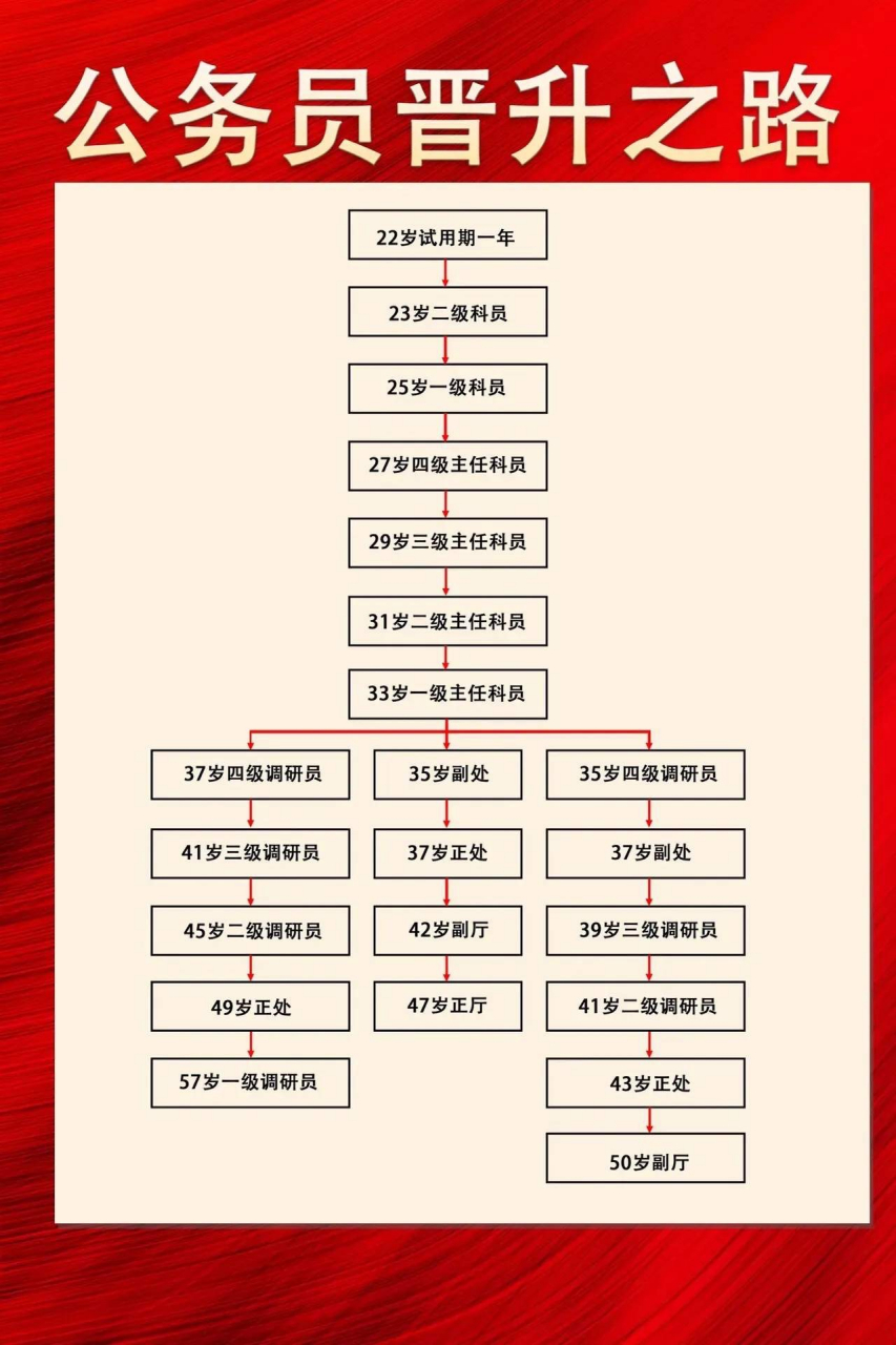 公务员晋升顺序深度解析与探究