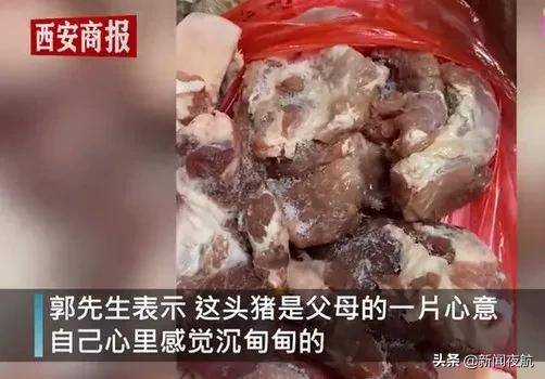 男子年会获赠巨型活猪，惊喜与责任交织的盛宴