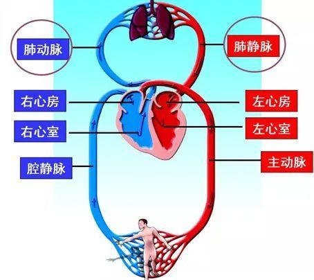 国家公务员考试网，实现职业梦想的舞台