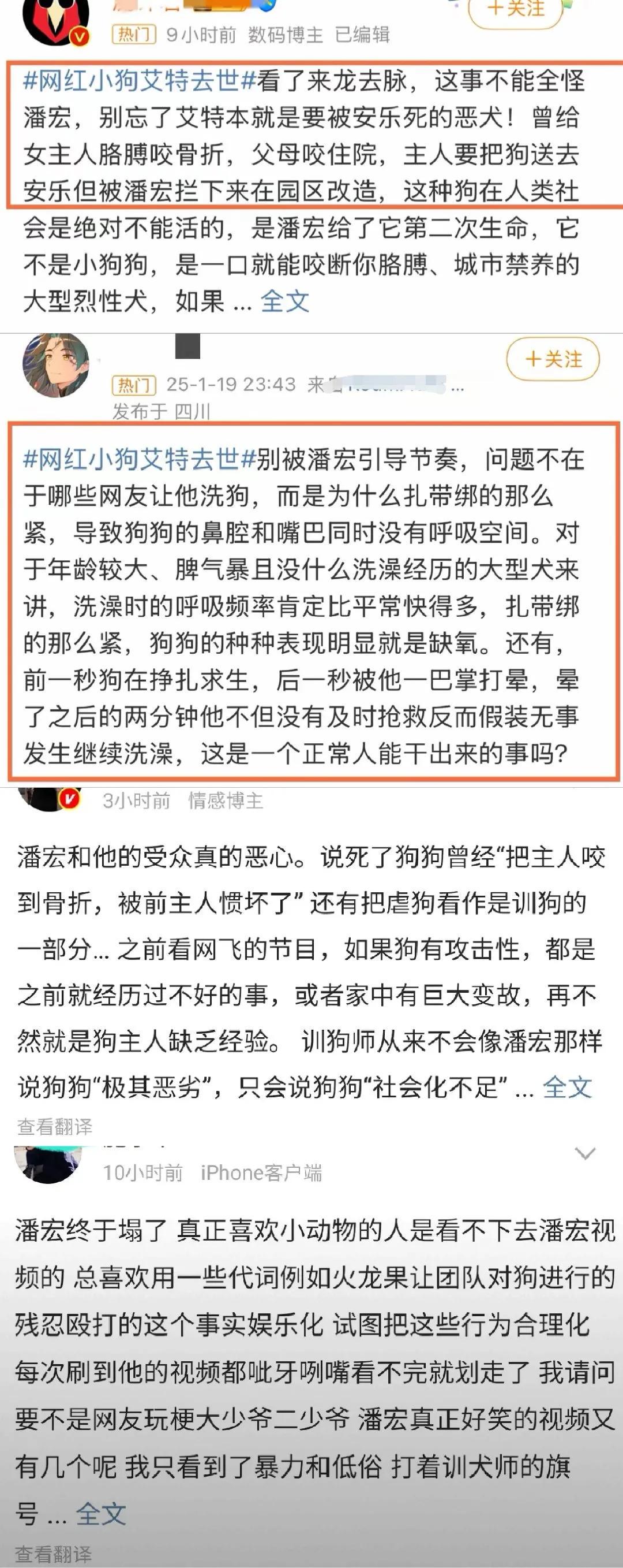 潘宏与小动物保护协会的辟谣风波，真相揭秘与回应缺失的反思