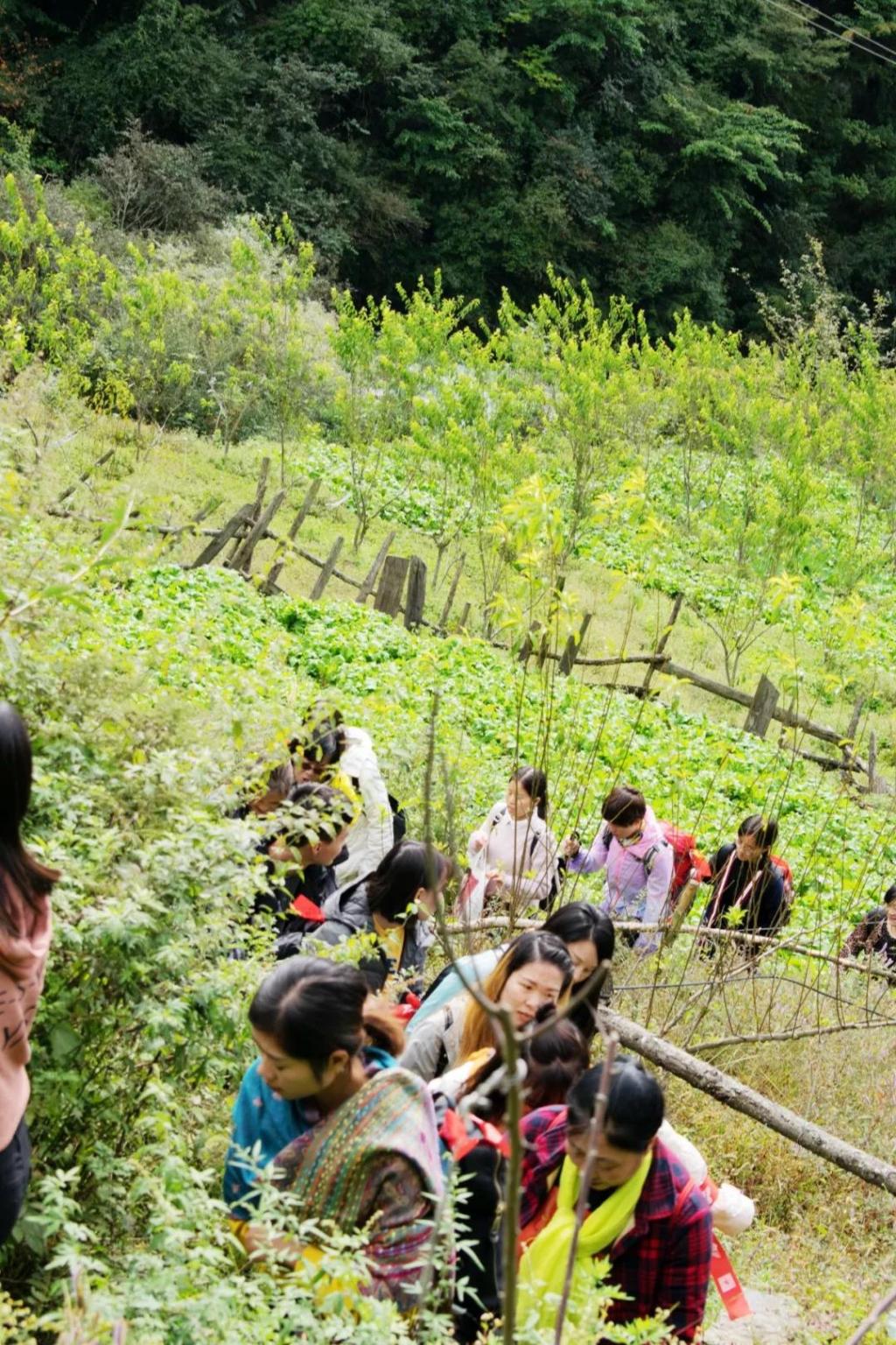 李现徒步鱼子西，心灵之旅的孤独征途