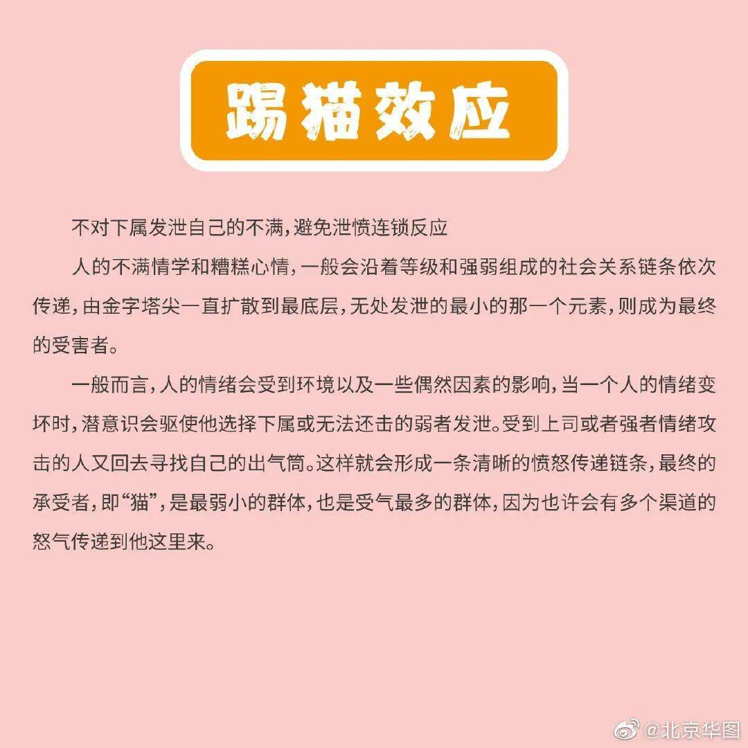 公务员考试常见贬义词解析指南