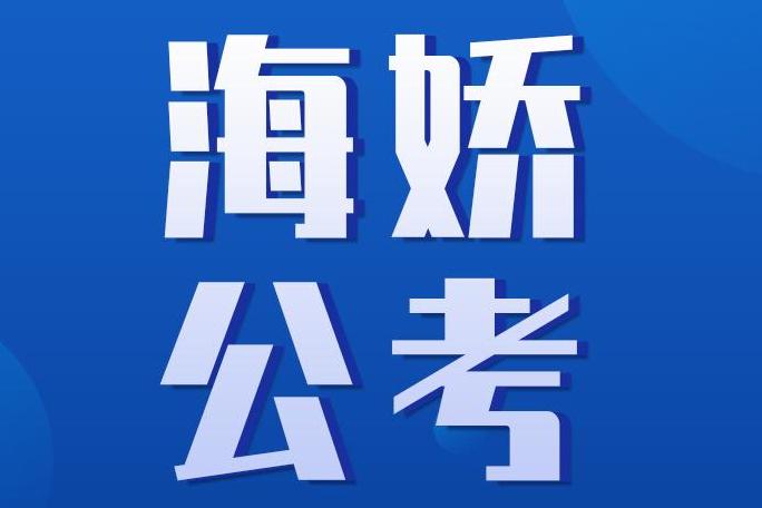 公务员考试备考指南，网课选择策略与技巧