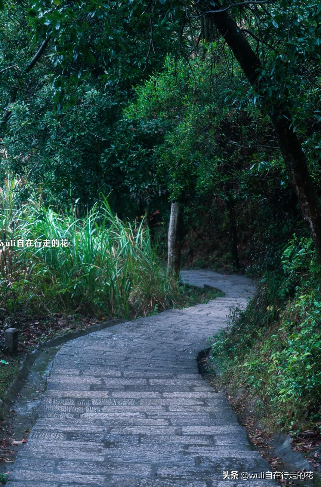 福州必游景点，探访千年古都的必游之地