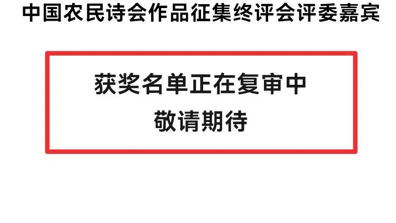 复审的含义与重要性解析