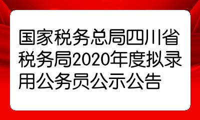 国家税务总局国考录用名单揭晓，人才选拔呈现新气象