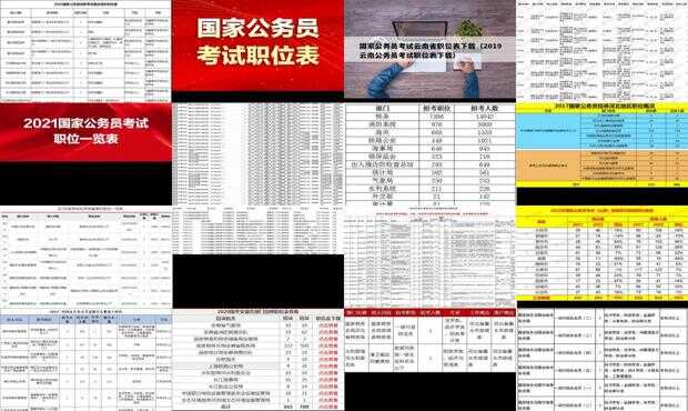 国家公务员考试职位表下载指南及全面解析