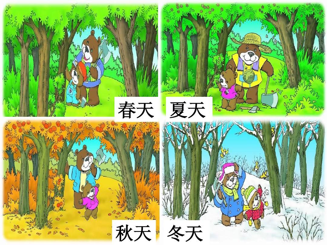 四季的魅力与色彩，春、夏、秋、冬的绚烂之旅