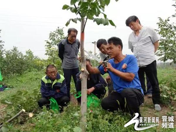 考培APP，重塑学习与培训新模式