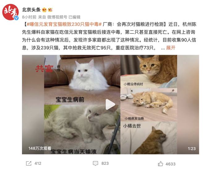 近百只猫溺亡事件引发关注，反思与行动，当地回应的重要性