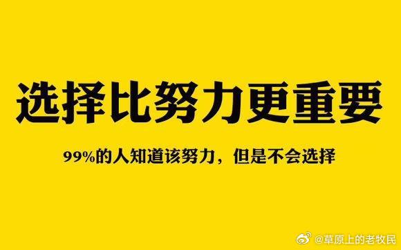 工作中选择与努力的重要性，我在XXXX年的最佳抉择之路