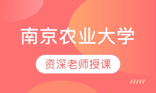 专升本培训机构，助力跨越学历门槛的桥梁之选