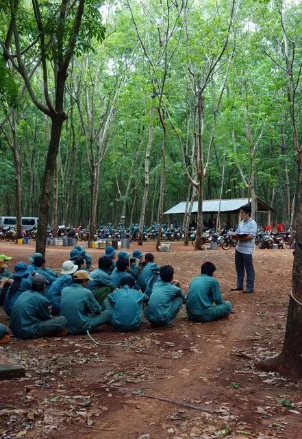 缅北明家犯罪集团案揭秘，39人遭公诉，犯罪网络内幕曝光