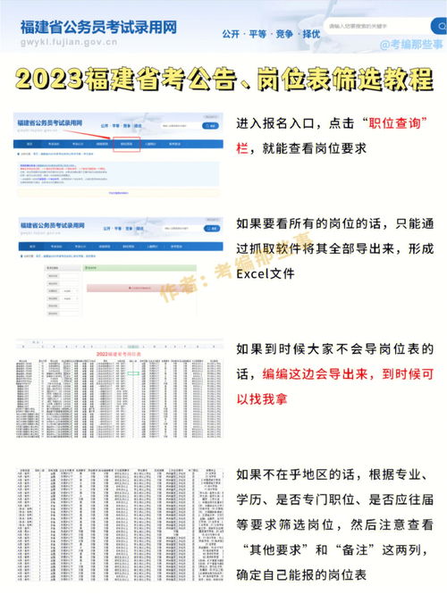 2025年公务员考试职位表查询指南，全面解析与指导