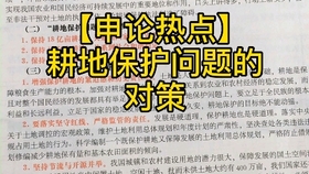 公务员申论对策大全，构建高效政务的实践路径与策略