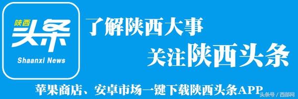 2025年1月8日 第31页