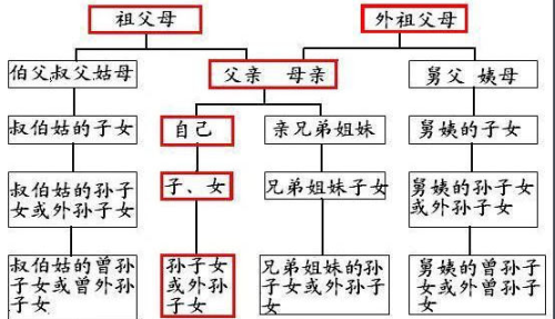 直系亲属详解，定义、范围与意义解析