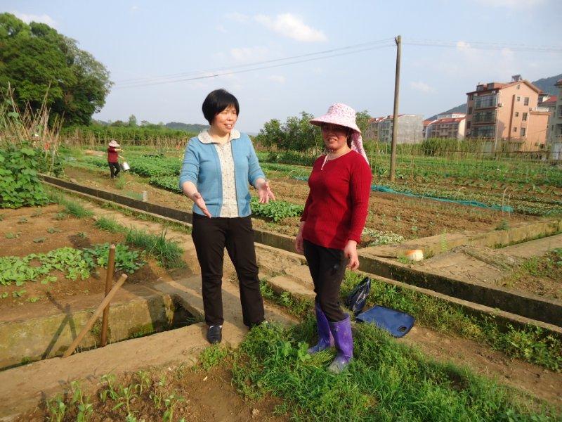 公务员考试一年次数及相关解析详解