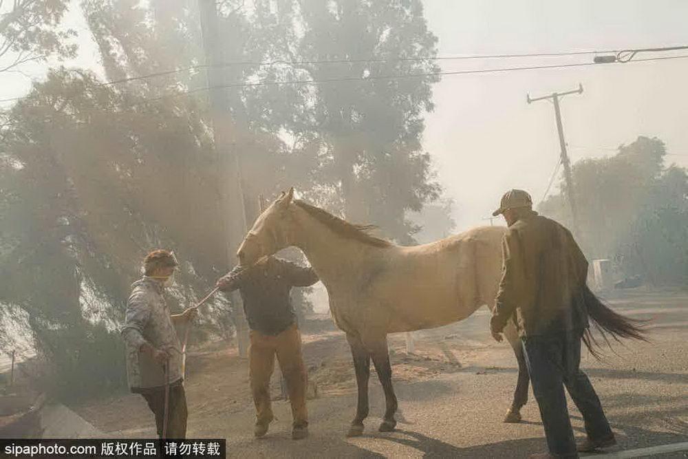 洛杉矶山火肆虐，灾难背后的反思与应对策略