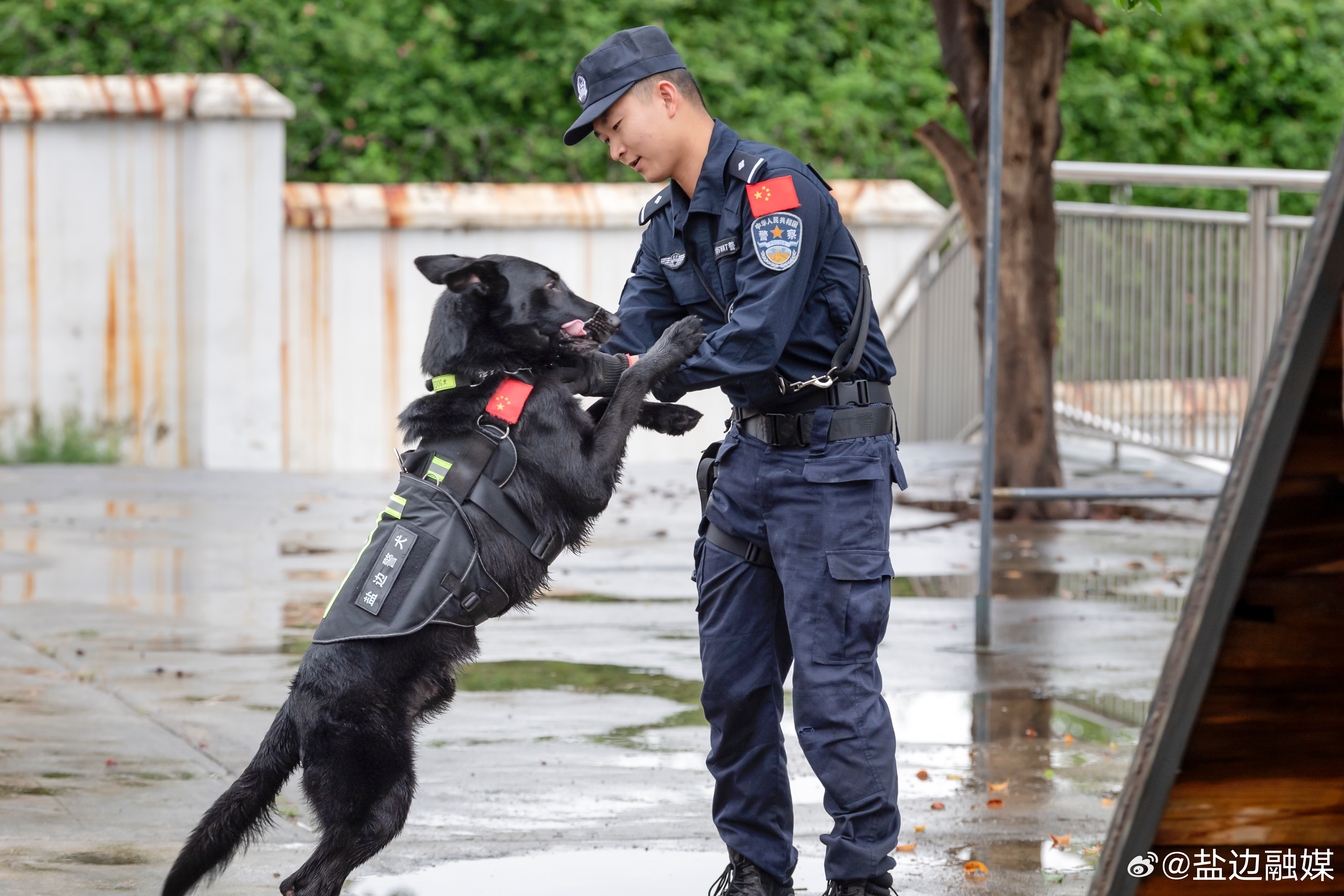 警犬幺幺零的挑战，训导员的头疼时刻