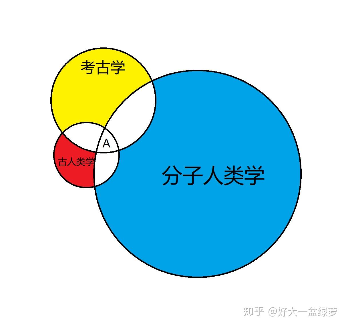 北京猿人，现代中国人的祖先？科学依据与学术解读