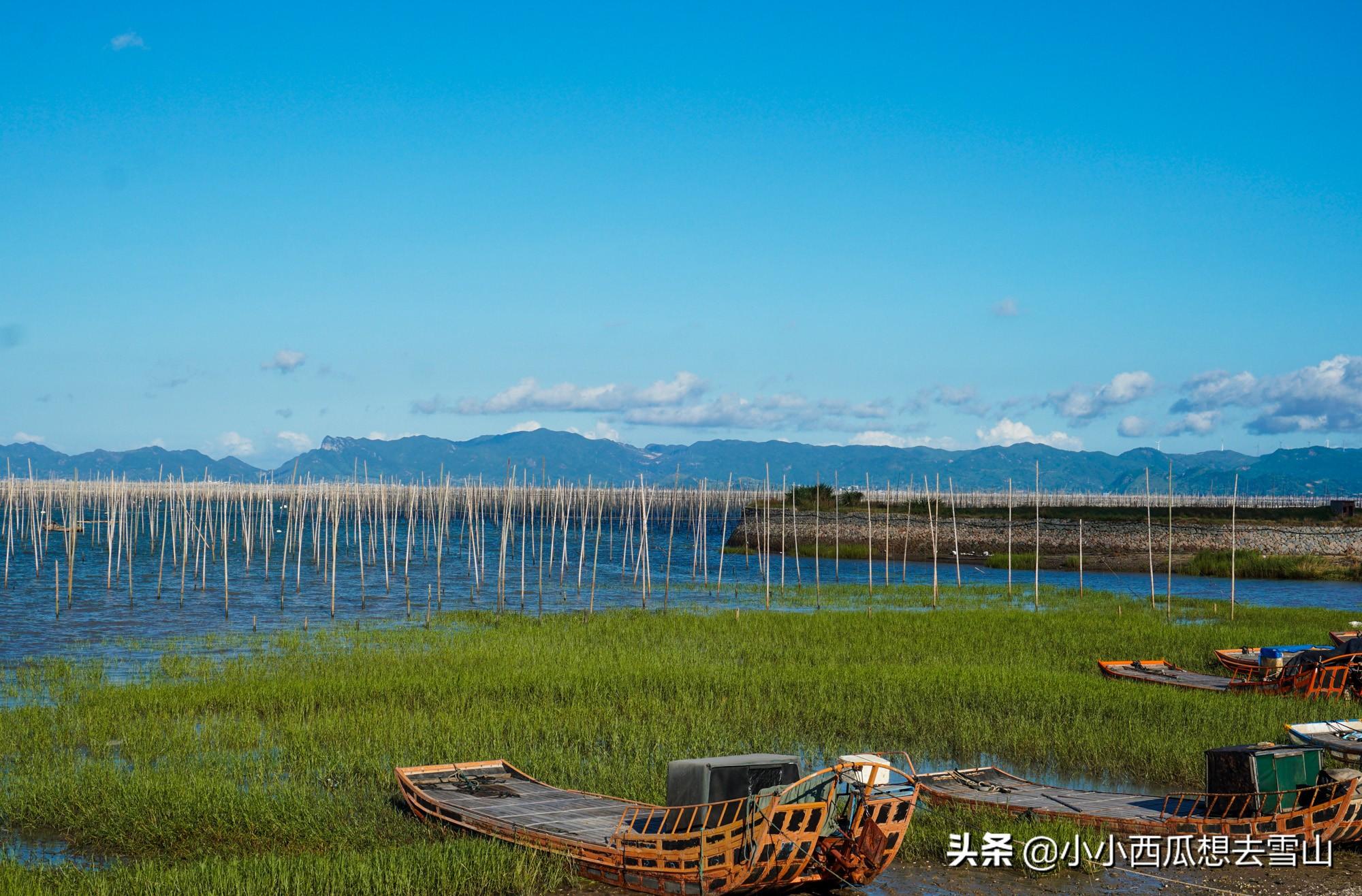 福建上海居民赴台团队游重启，新旅游篇章开启