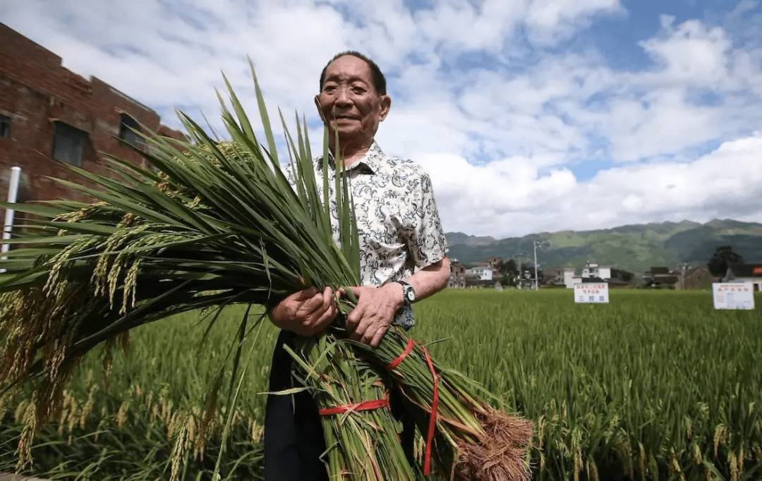 警号重启，正义不老——91岁崔道植再次闪耀正义之光