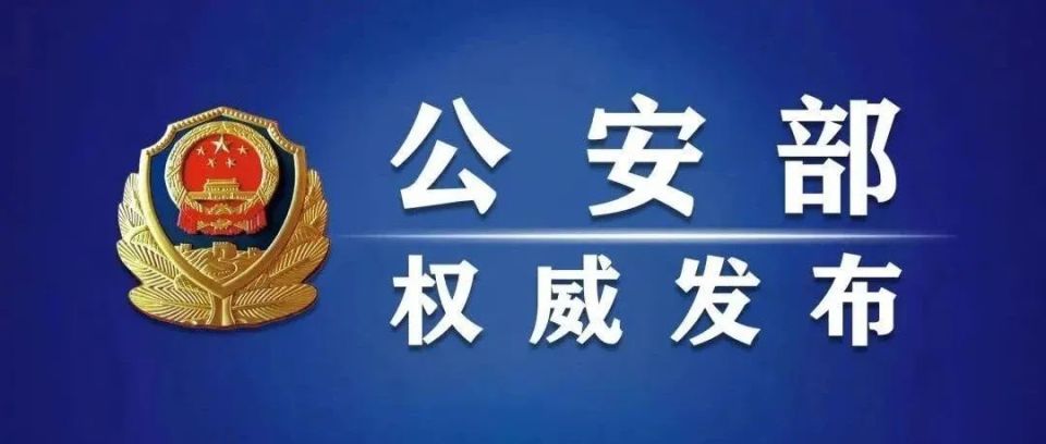 公安网安净网行动深度解析，开启网络安全新篇章，成效显著（2024年）