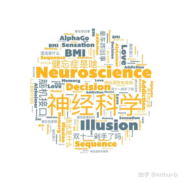 神经科学的探索之旅，就读体验与洞察