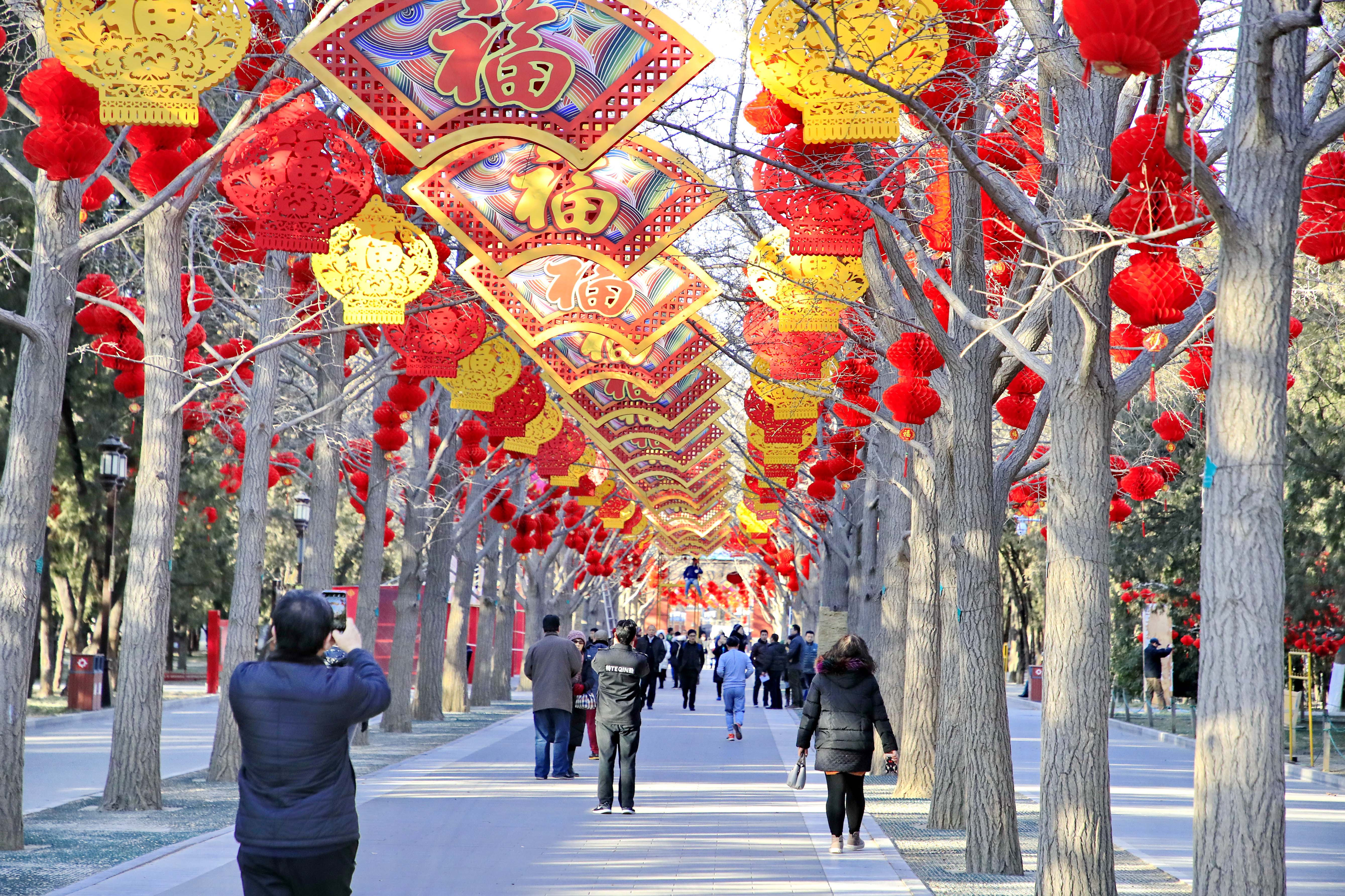 中国传统文化的魅力与新年氛围营造，金蛇迎春红火壁纸欣赏