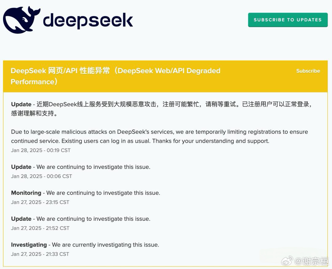 DeepSeek遭遇美国IP网攻暴力破解，深度剖析与应对之道