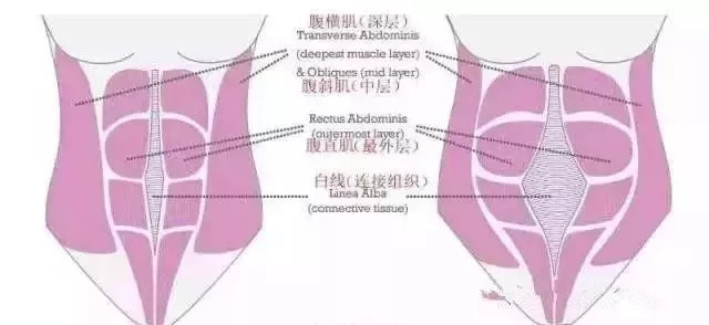 腹部增大可能与肝病加重有关，解析原因及应对建议