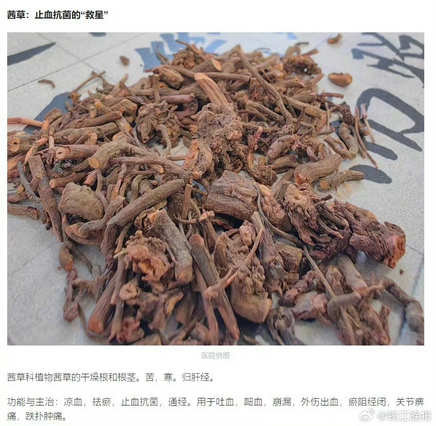 申公豹代购药单，打工良药，普通人的健康守护者