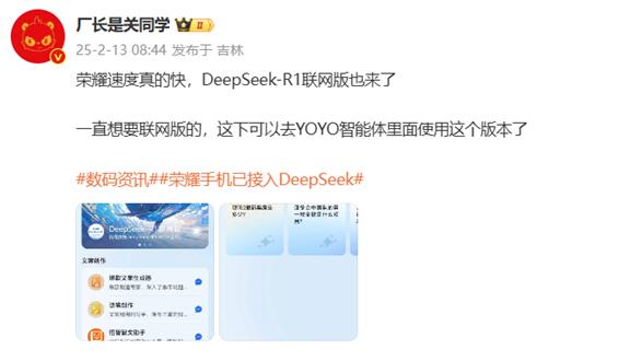 DeepSeek手机版安全使用指南