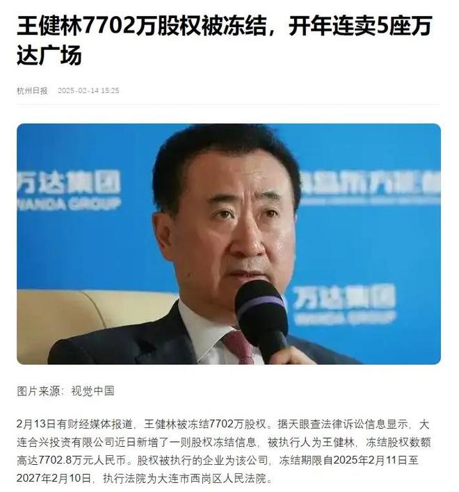 王健林股权冻结背后的意义与影响分析，涉及金额达7702万