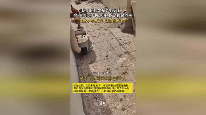 婚房七年未住引发深思，保洁换锁养鸡事件背后的问题探讨