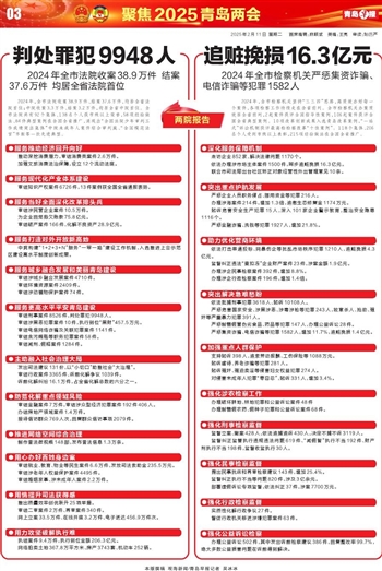 深度解析，电诈案件激增背后的挑战与应对——聚焦2024年四万审结案件与八万涉案人数