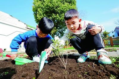 扩大教育学位供给与推行免费学前教育，意义深远的教育改革举措