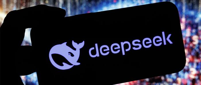 DeepSeek，最强女委员的宣言