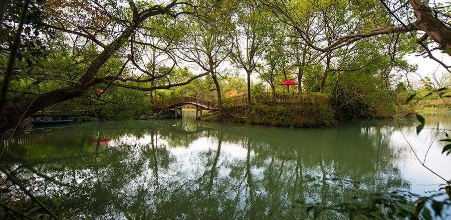 住酒店隐私泄露事件，上厕所视频遭非法售卖