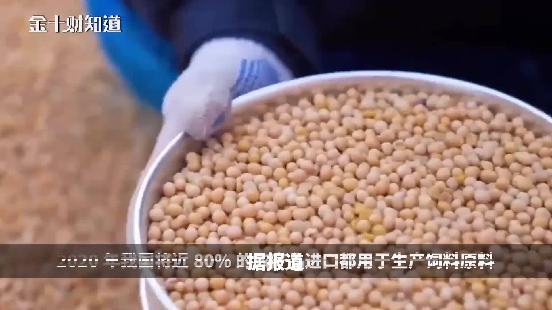 白糖产业面临技术瓶颈了吗？