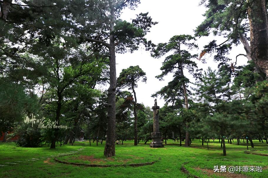 秦始皇陵甬道有日本人植树纪念碑